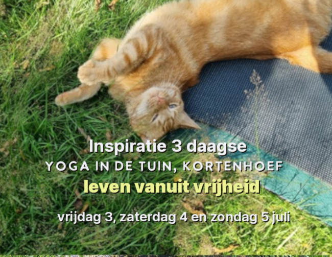 inspiratie 3 daagse bij de studio 2